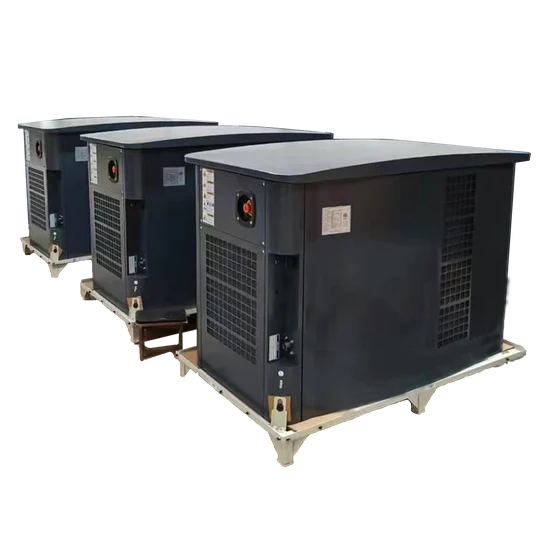 10 kW Natural Gas / Propane Generator — 208/120V, 3-Phase